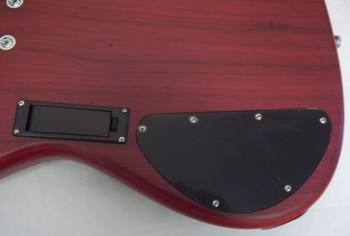 (USED) : Groove Factory GFX FIVE String Bass Guitar
