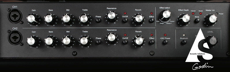 Godin ASG-120 Acoustic Solutions Amplifier : Wood
