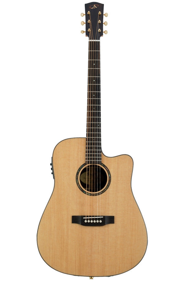 From The Vault : BSDCE-28 cutaway acoustic-electric guitar
