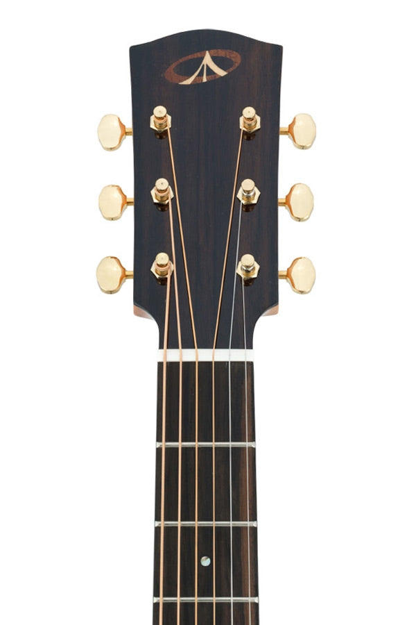 From The Vault : BSDCE-28 cutaway acoustic-electric guitar