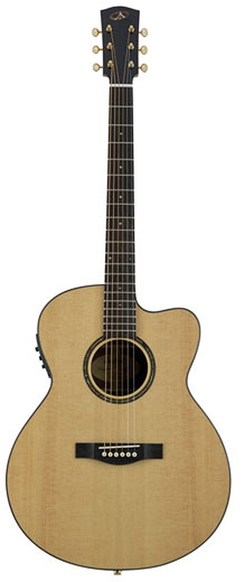 From The Vault : Bedell BSMCE-18-G cutaway acoustic-electric guitar