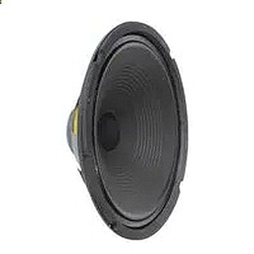 Speakers : Silverdale 10" guitar speaker