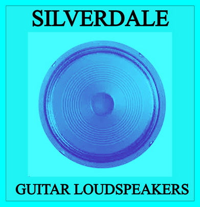 Speakers : Silverdale 10" guitar speaker