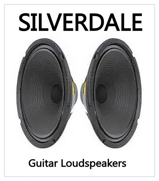 Sherlock Audio: Silverdale 2x10 open back guitar speaker cabinet