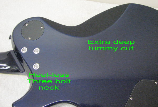 Aria PE Studio Custom SingleCut guitar : blue