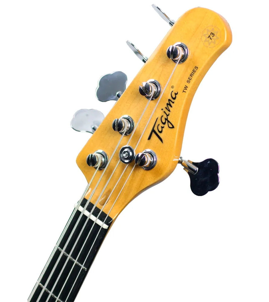Cort S-400 Stellar Custom electric guitar