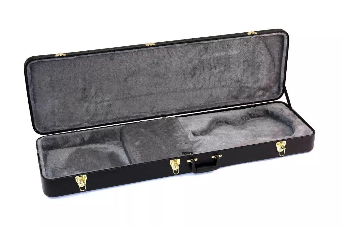 Case : Hardshell Bass : for violin styled bass