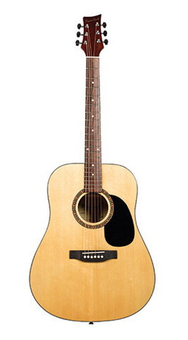 BeaverCreek 101 acoustic Natural