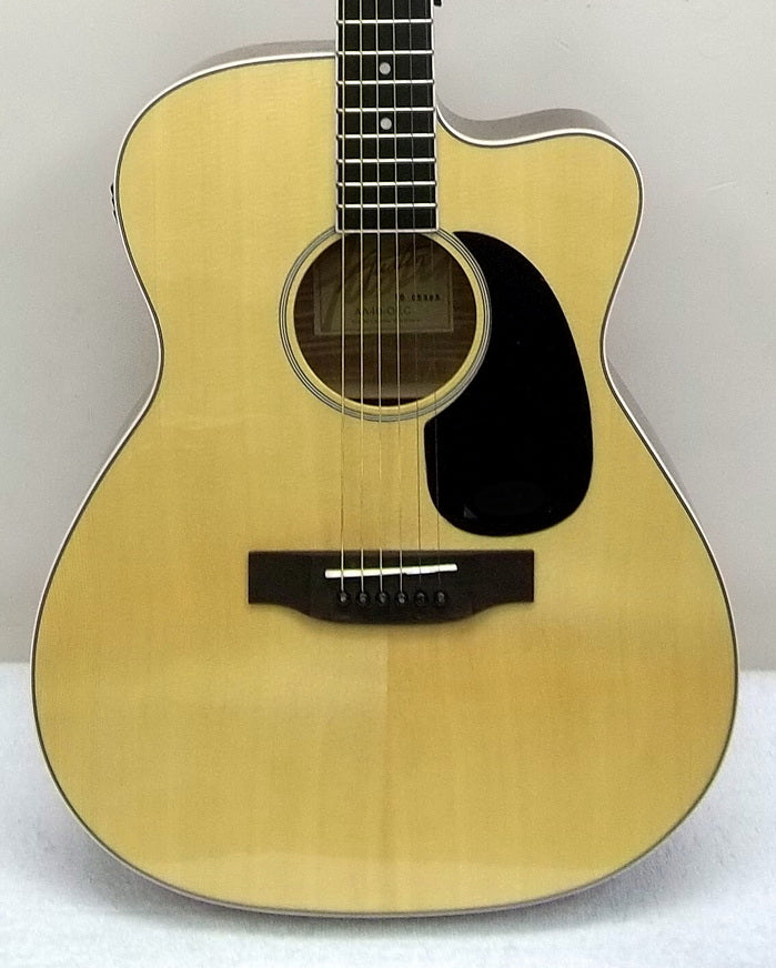 (USED) Austin Guitars : AA40-OEC acoustic-electric guitar