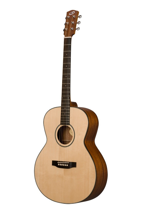 From The Vault : Bedell BDM-18-M acoustic guitar