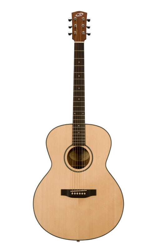 From The Vault : Bedell BDM-18-M acoustic guitar