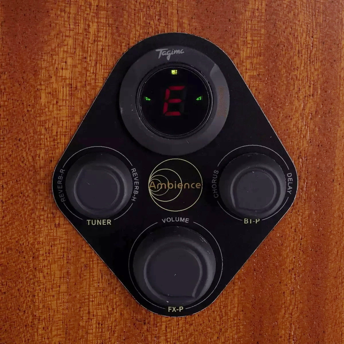 Tagima Frontier full size acoustic-electric guitar