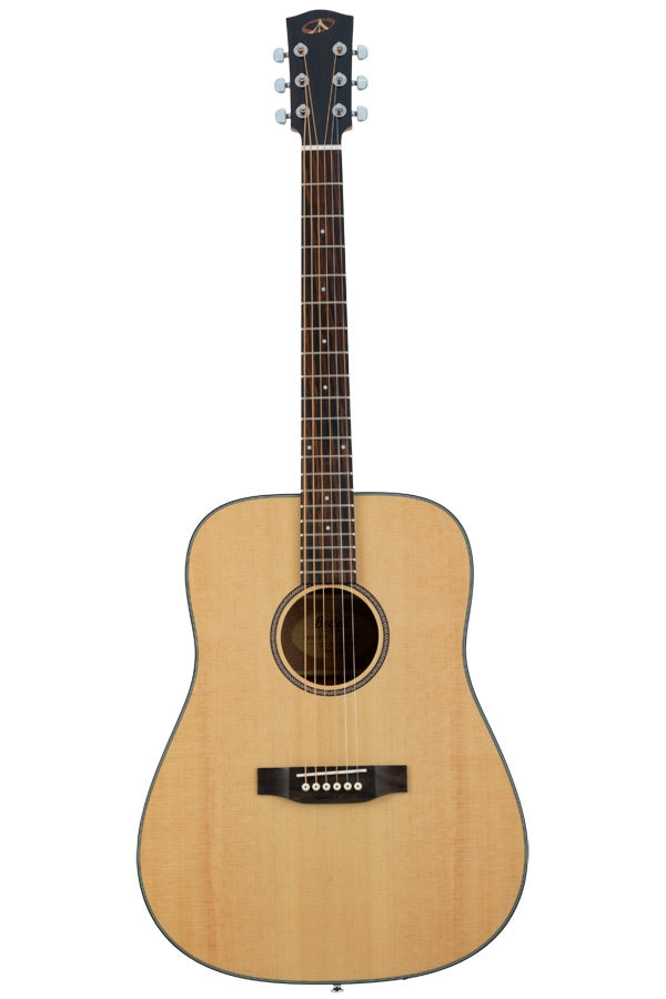 From The Vault : Bedell HGD-18-G acoustic guitar