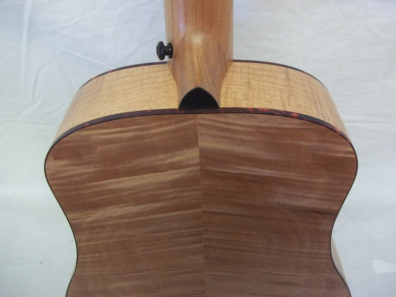 Madera Select : SideKick mini-acoustic guitar : okume
