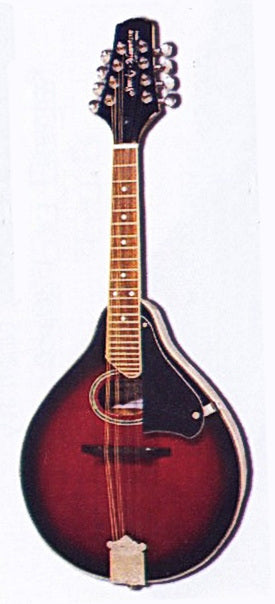 Smoky Mountain SM-60 Mandolin