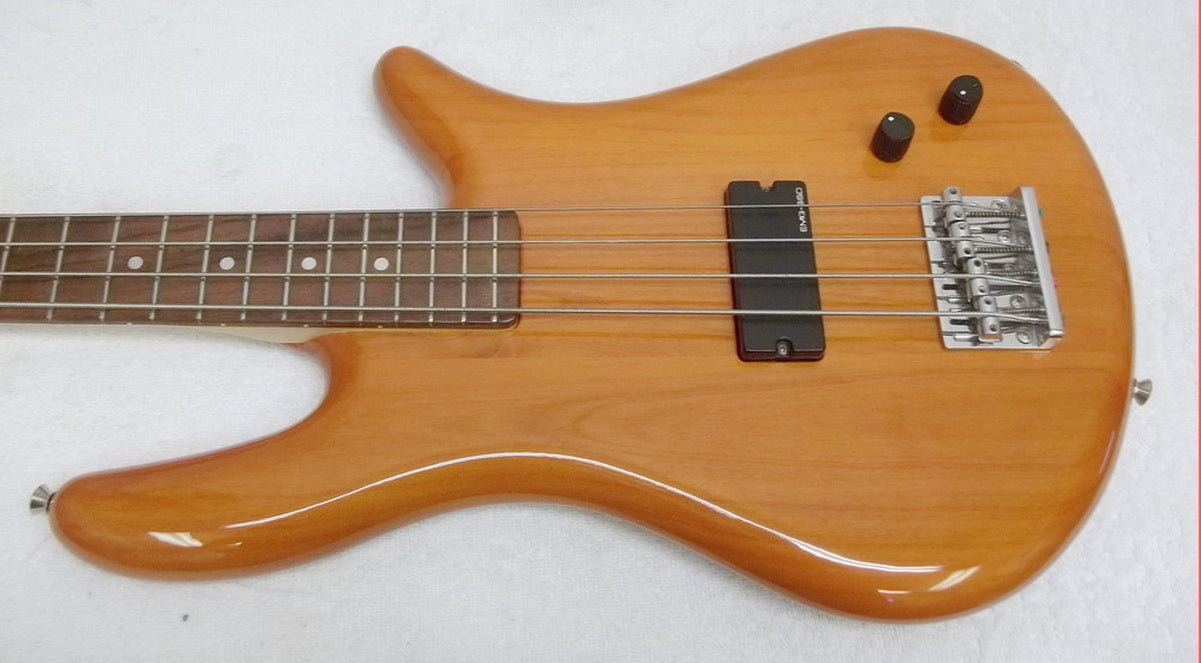 (USED) Spector NS200B bass guitar