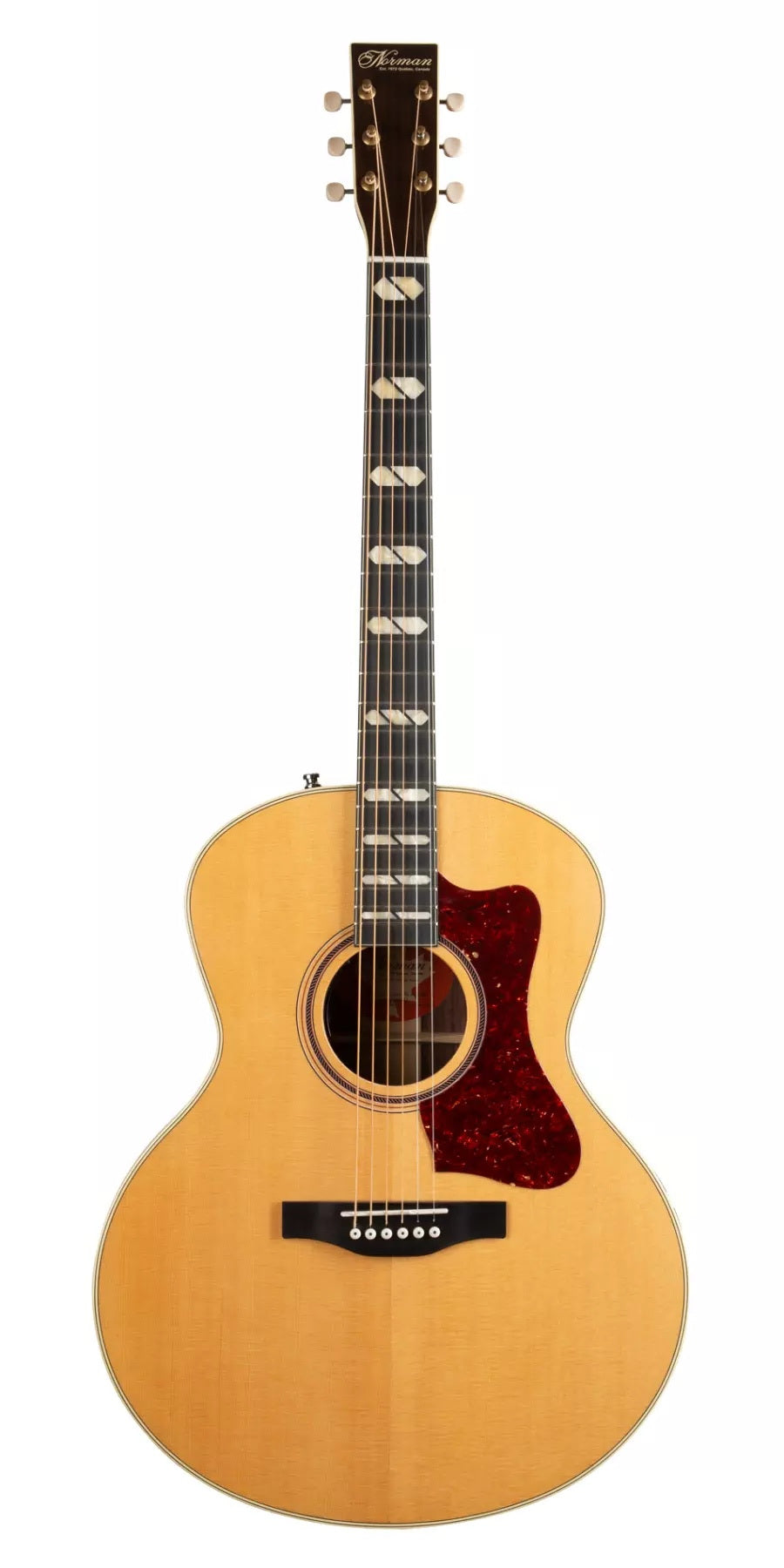 Norman ST68 acoustic-elctric guitar with Anthem pickup system