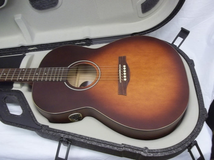 Case : Tric : for classical/folk size acoustic guitar